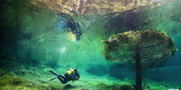 پارکی عجیب در اعماق خلیج فارس +عکس پارکی عجیب در اعماق خلیج فارس +عکس