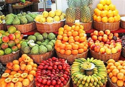 خوردن ۱۰ نوع میوه‌ای که در تابستان توصیه می‌شود