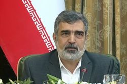 سخنگوی‌ سازمان‌ انرژی‌ اتمی: ایران از غنی‌سازی ۴.۵ درصد عبور نمی‌کند|در حال حاضر کشور نیازی به غنی‌سازی در سطح ۲۰ درصد ندارد
