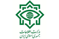 جزئیات شناسایی و دستگیری ۱۷ جاسوس مرتبط با سیا| همگی تابعیت ایرانی داشته‌اند