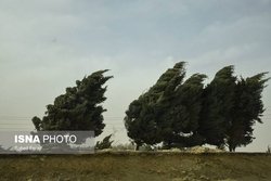 وزش باد شدید در ۱۰ استان کشور
