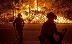 افزایش آتش‌سوزی‌های طبیعی با تداوم موج گرما در اسپانیا