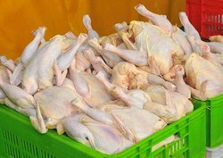 جریمه 400 میلیونی برای گرانفروشان مرغ