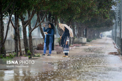 بارش باران در تهران و بسیاری نقاط کشور