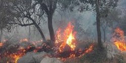 آتش به جان جنگل‌های ارسباران افتاد