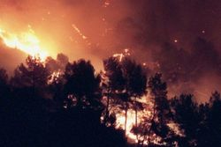 اعزام ۲ فروند بالگرد آتش‌نشانی برای اطفای حریق جنگل‌های ارسباران