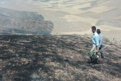 آتش سوزی در ارتفاعات مسجدسلیمان