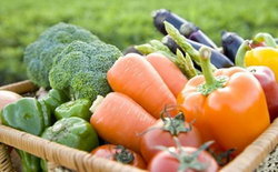 نیازهای بدن با رژیم گیاه‌خواری تامین نمی‌شود