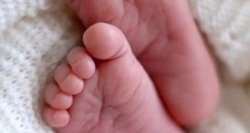 پیدا شدن نوزاد هشت روزه در پارک+عکس