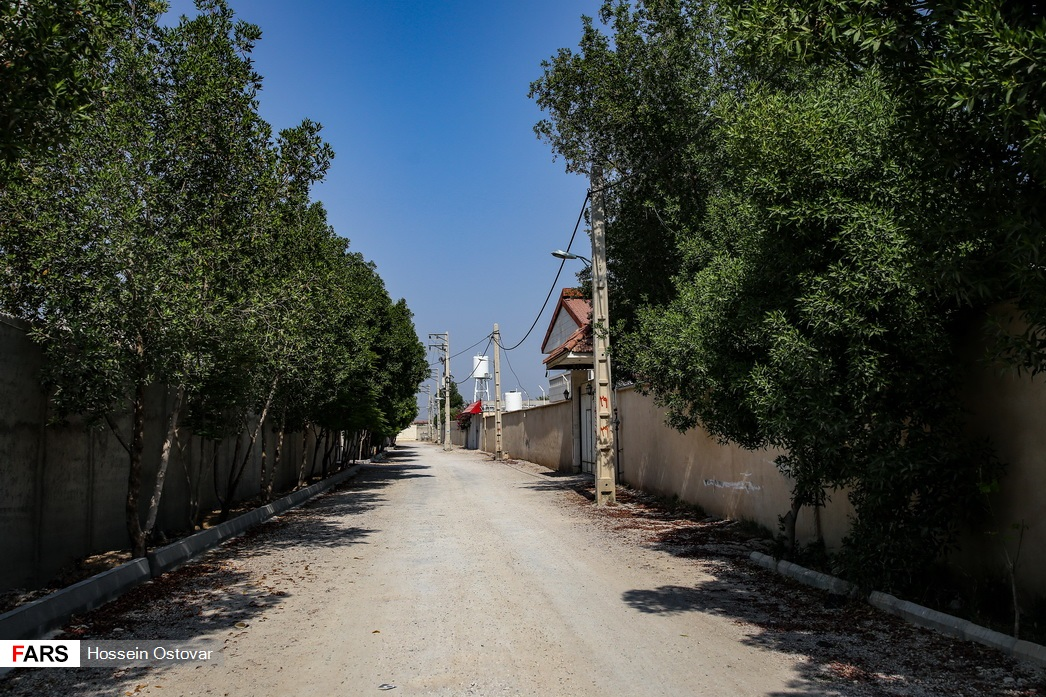 «باستی هیلز» جنوب کشور در بوشهر+عکس و فیلم