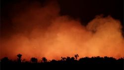 آتش در جنگل‌های آمازون؛ ریه‌های کره زمین در حال سوختن است| وزیر محیط زیست برزیل هو شد+عکس