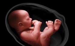 همه آنچه درباره سقط مکرر و علل آن باید بدانید/ مواد غذایی که مرگ جنین را رقم می‌زنند