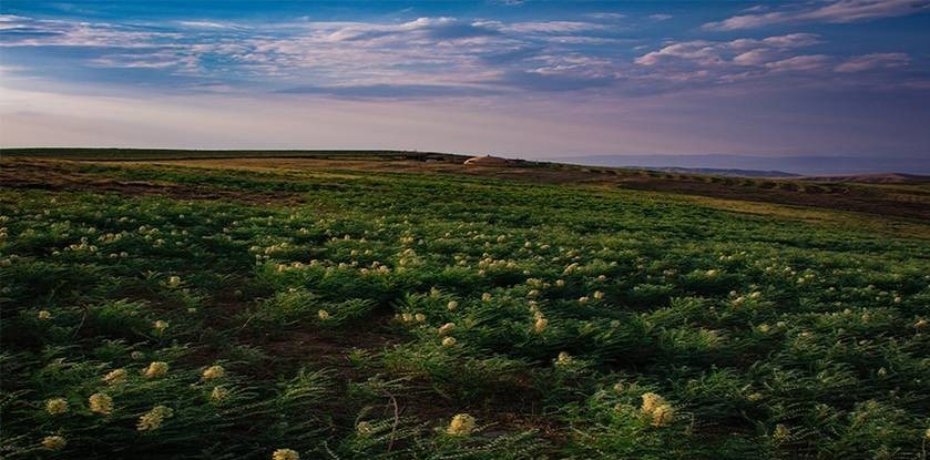 داغی که بر دل شمال غرب ایران خوش نشست! +تصاویر