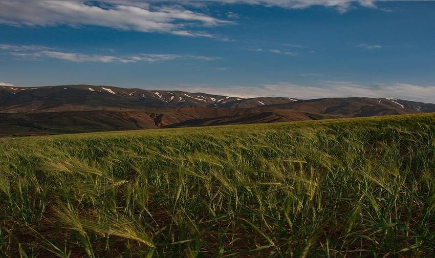 داغی که بر دل شمال غرب ایران خوش نشست! +تصاویر