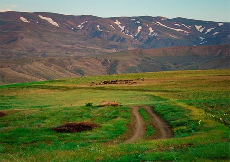 داغی که بر دل شمال غرب ایران خوش نشست! +تصاویر