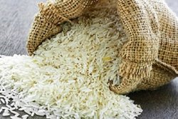 برنج‌های تنظیم بازار از امروز وارد بازار می‌شوند