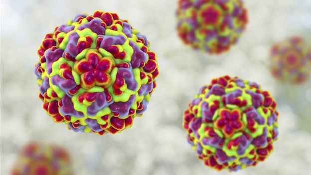 راهی برای از کار انداختن ویروس سرماخوردگی