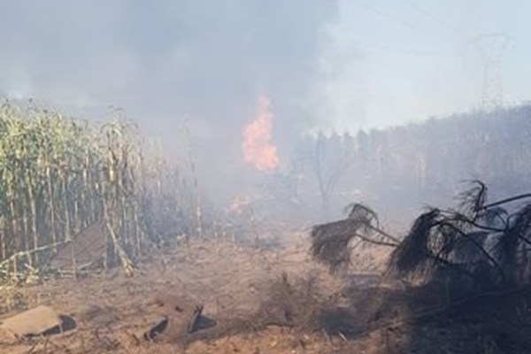 سقوط جنگنده اف-16 بلژیکی در فرانسه+عکس سقوط جنگنده اف-16 بلژیکی در فرانسه+عکس