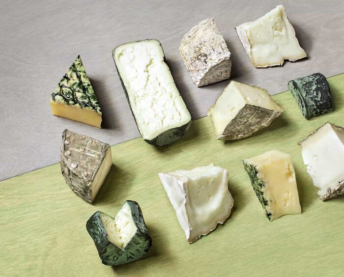 پنیرهای فاسد را به‌جای پنیر کپک‌زده فرانسوی نخورید!+اسامی انواع پنیرهای کپک‌زده