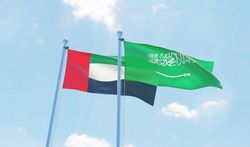 پشت پرده اقدامات امارات علیه عربستان