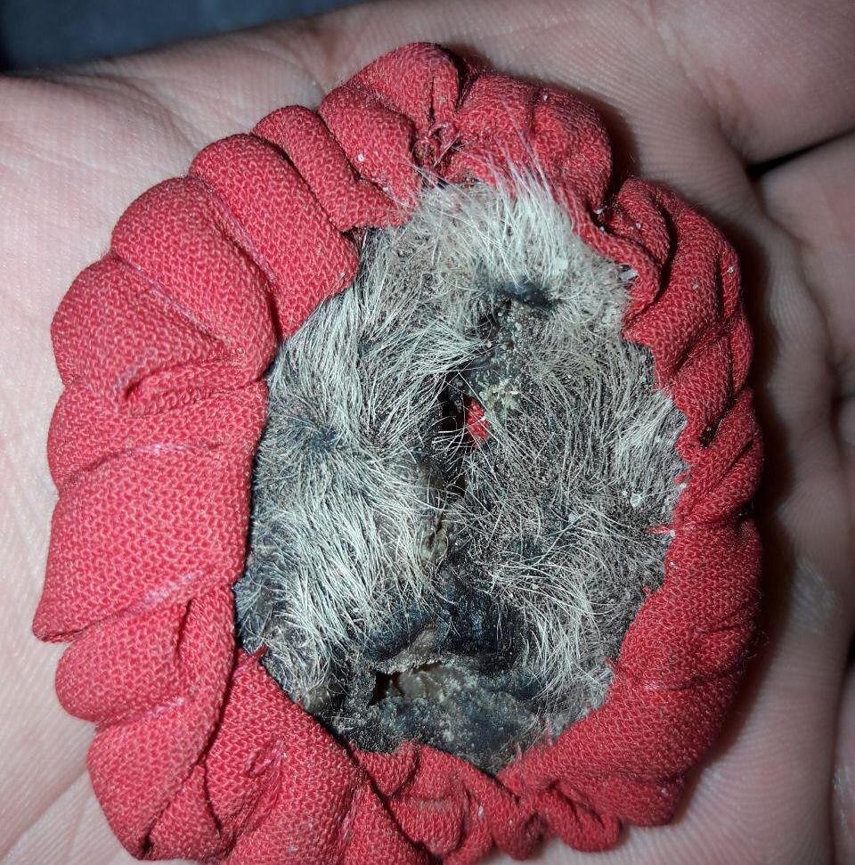 رزق و روزی، حفظ شوهر و انواع طلسم و جادو فقط با چند کلیک! رزق و روزی، حفظ شوهر و انواع طلسم و جادو فقط با چند کلیک!