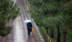 هواشناسی مازندران: بارش باران و آبگرفتگی معابر