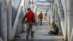 رئیس بهزیستی: 60 درصد از کودکان کار و خیابان تهران، غیرایرانی و مهاجر هستند