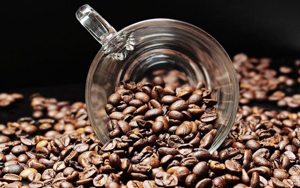 تاثير عصاره دانه قهوه بر کاهش التهاب
