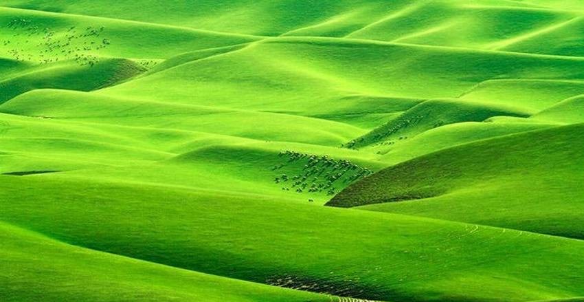 به اینجا عادت نکنید! اینجا ایران نیست! +تصاویر