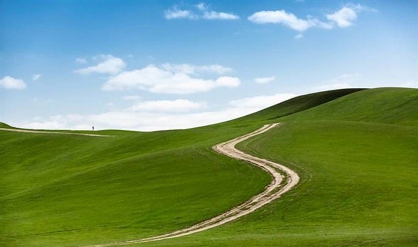 به اینجا عادت نکنید! اینجا ایران نیست! +تصاویر