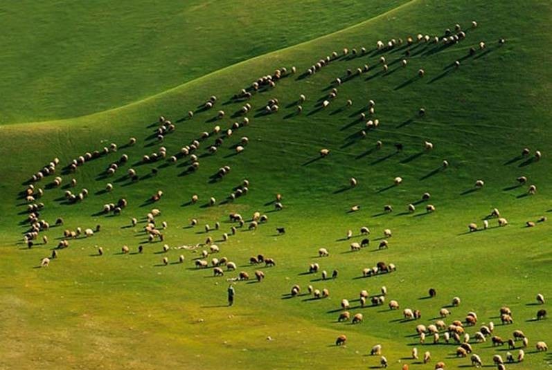 به اینجا عادت نکنید! اینجا ایران نیست! +تصاویر