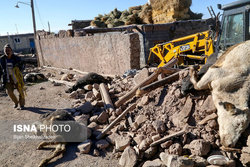 آخرین وضعیت امنیت در مناطق زلزله زده