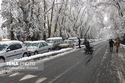 ادامه بارش‌ برف و باران در کشور/ تهران همچنان زیرصفر