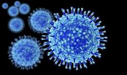 5 استان در صدر شیوع آنفلوآنزا