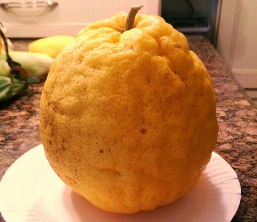 طرز تهیه مربای بالنگ؛ طعمی از دل پاییز طرز تهیه مربای بالنگ؛ طعمی از دل پاییز