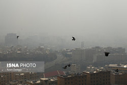 ۳هزار مرگ در تهران به دلیل آلودگی هوا در سال گذشته