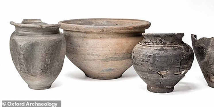 قدیمیترین تخم مرغ جهان کشف شد+عکس قدیمیترین تخم مرغ جهان کشف شد+عکس