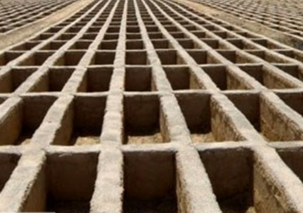 تن فروشی زن تهرانی داخل قبر بخاطر یک لقمه نان