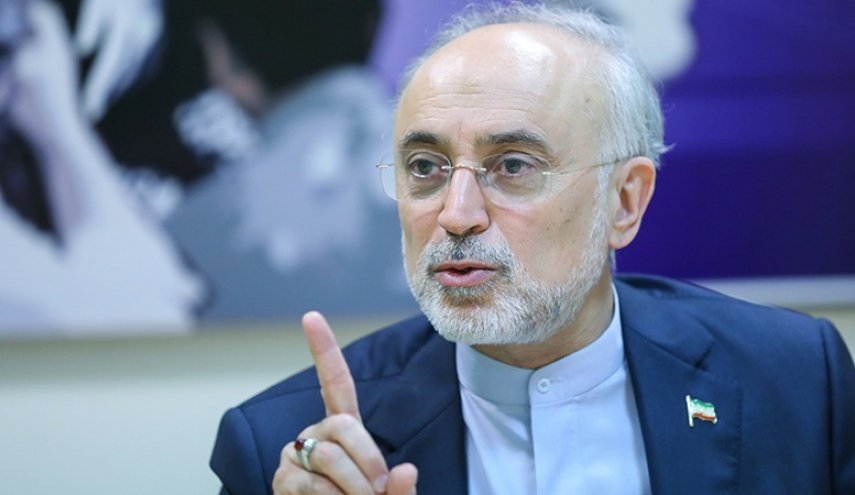 صالحی: از طریق استاکسنت به چند کارخانه پتروشیمی ایران آسیب رساندند صالحی: از طریق استاکسنت به چند کارخانه پتروشیمی ایران آسیب رساندند