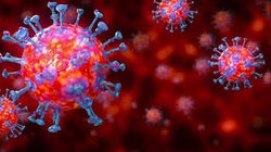 پزشکان در آمریکا تاکید کردند؛ احتمال انتقال کروناویروس حتی پس از بهبود علائم