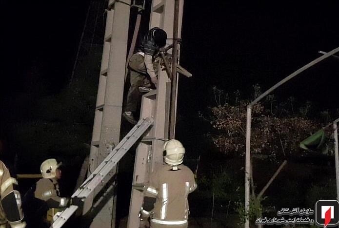 مرگ تلخ کارگر جوان بر اثر برقگرفتگی حین نصب داربست/ عکس مرگ تلخ کارگر جوان بر اثر برقگرفتگی حین نصب داربست/ عکس