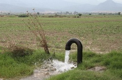 وزارت نیرو: امکان آلودگی منابع آب به ویروس کرونا وجود ندارد