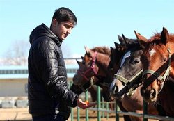 رکوردشکنی سردار آزمون با خرید اسب نیم میلیون دلاری/عکس