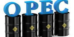 هر بشکه سبد نفتی اوپک 21.19 دلار معامله شد