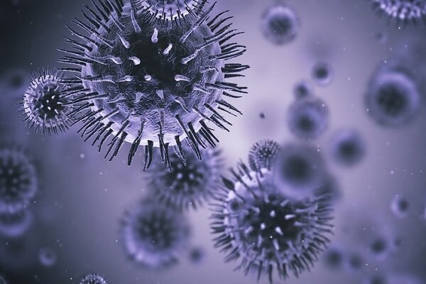 خبر رئیس کمیته علمی مبارزه با کرونا درباره تولید پادتن اختصاصی ویروس کرونا