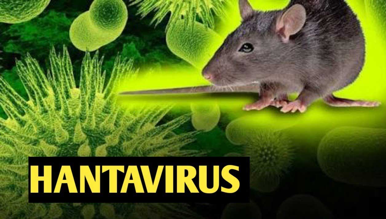 درباره ویروس هانتا چه می‌دانیم؟