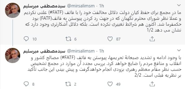 خط و نشان میرسلیم در مورد FATF: برای حفظ کیان دولت دلایل مخالفت خود را علنی نکردیم خط و نشان میرسلیم در مورد FATF: برای حفظ کیان دولت دلایل مخالفت خود را علنی نکردیم