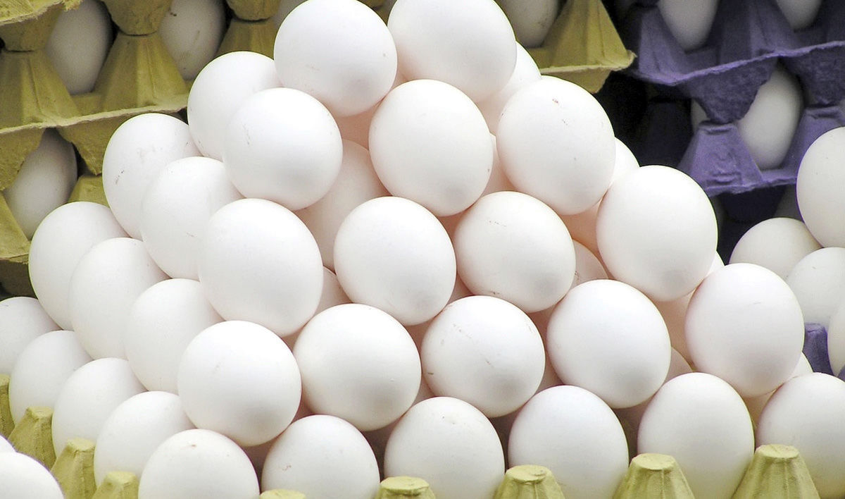 قیمت هر کیلو تخم مرغ برای مصرف کننده چقدر است؟