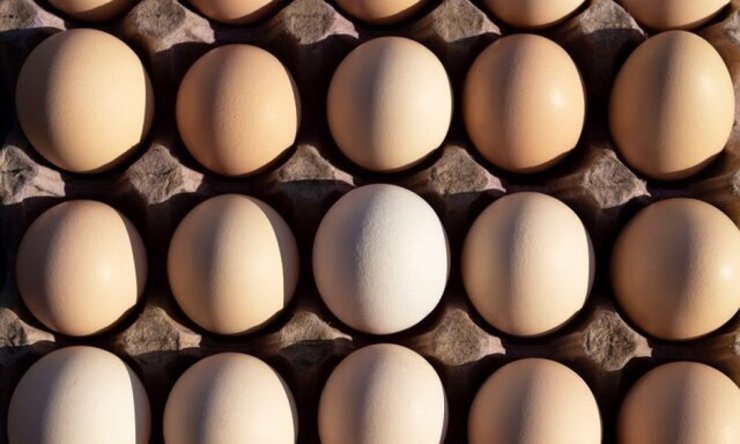 قول‌هایی که تو زرد از آب درآمد؛ تخم مرغ به شانه‌ای ۴۸ هزار تومان پرکشید!