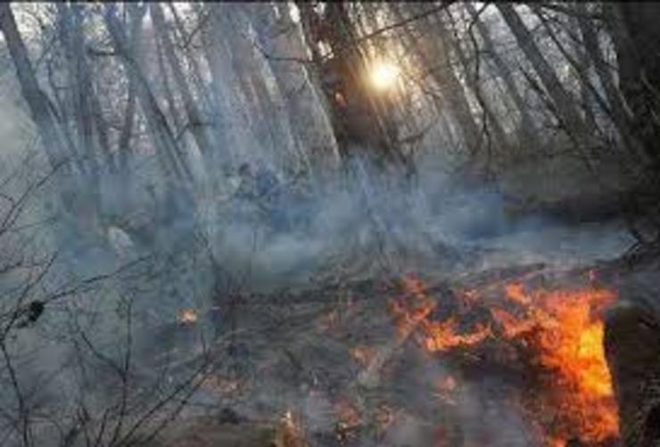 آتش‌سوزی جنگل‌ در مازندران همچنان ادامه دارد